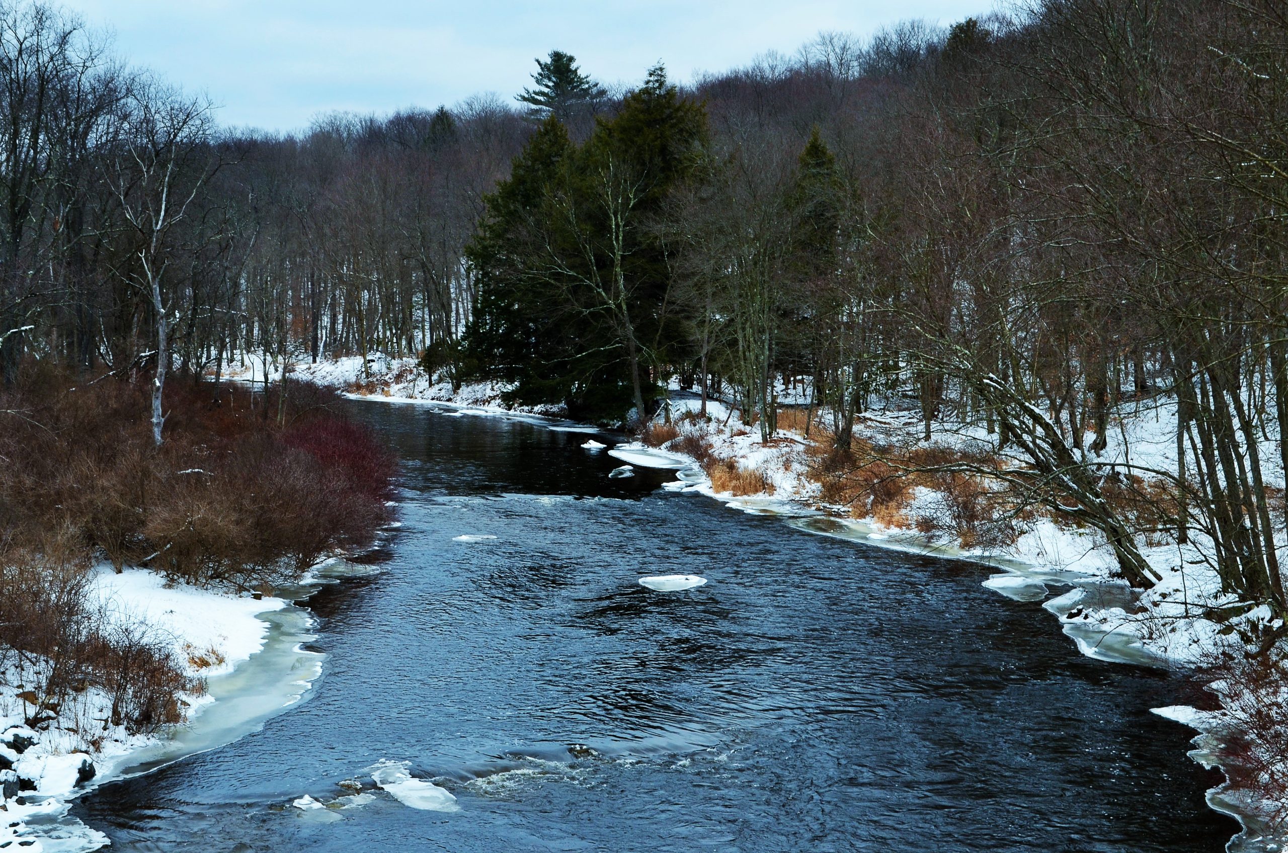 Wooded Living Along the Lehigh River in Riverside Estates!